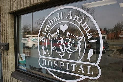 Kimball Animal Hospital photo 3