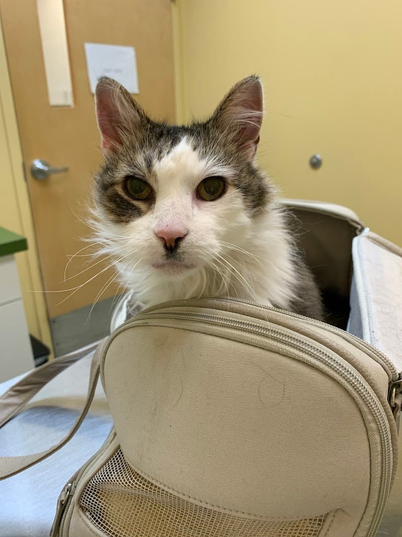 Nokomis Pet Clinic