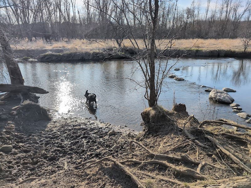 Granville Dog Park photo 3