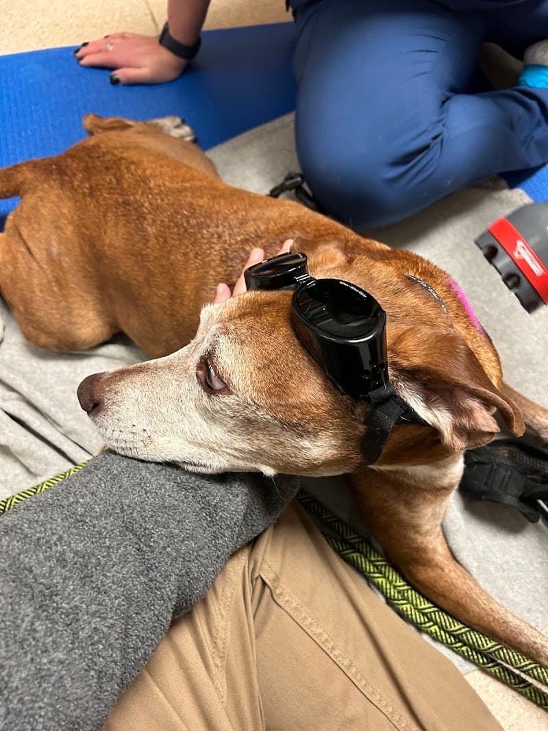 Wauwatosa Veterinary Clinic photo 3