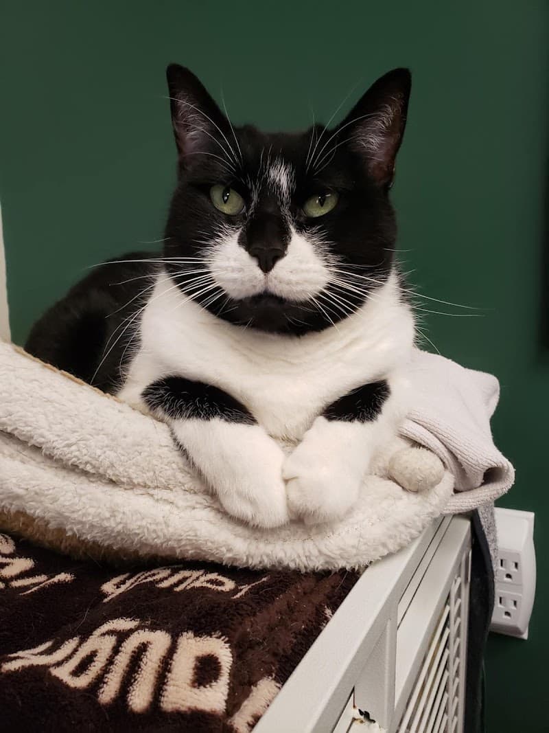 Cicero Veterinary Clinic photo 3