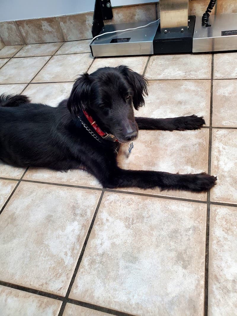 Freeland Animal Hospital photo 2