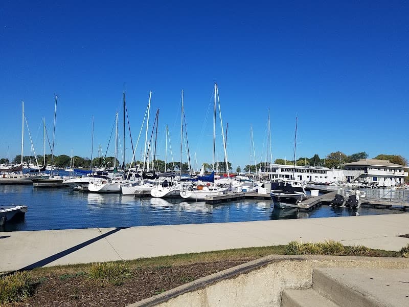 Dog Beach at Belmont Harbor photo 3