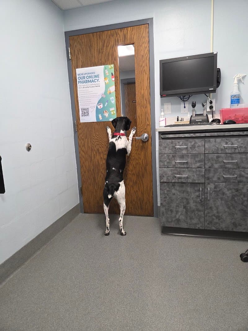 Lakeside Animal Hospital photo 2