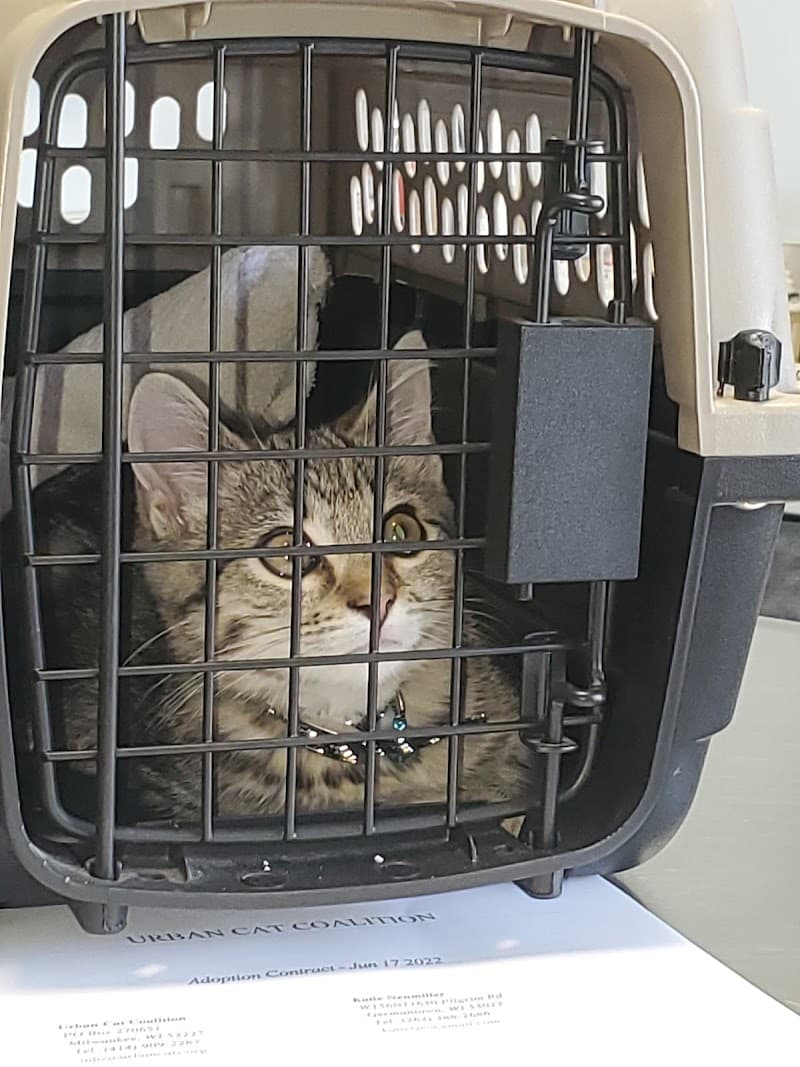 Lakeside Animal Hospital photo 3