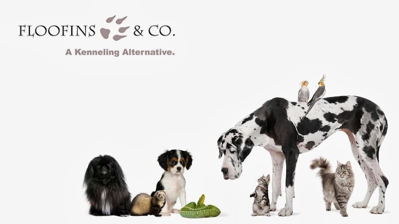 Floofins & Co.