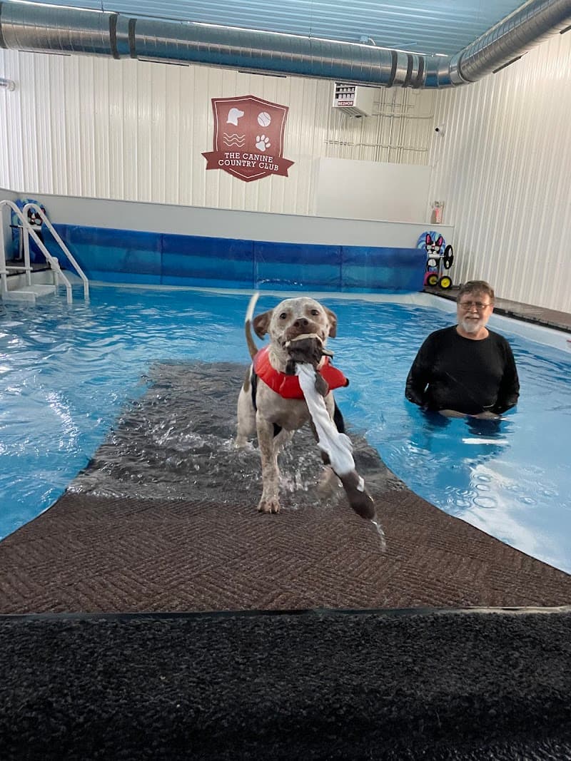 The Canine Country Club photo 2