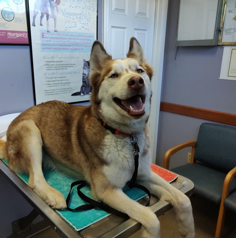 West Woodward Animal Hospital photo 3