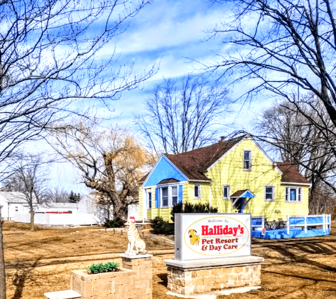 Halliday's Pet Resort & Daycare photo 2
