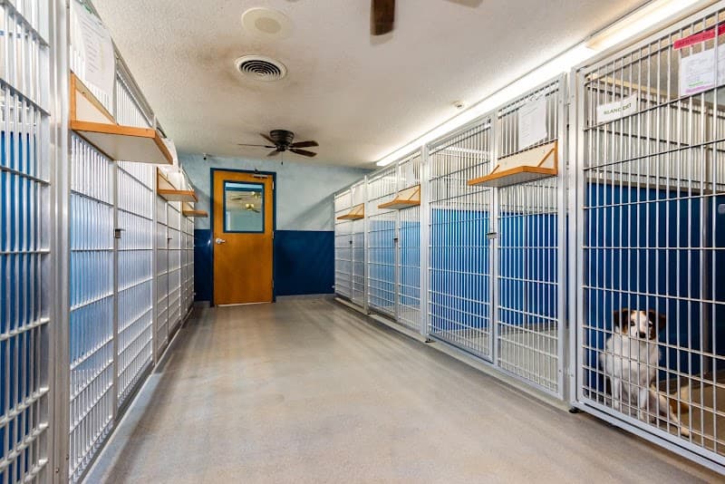 Animal Inn Pet Resort & Spa photo 2