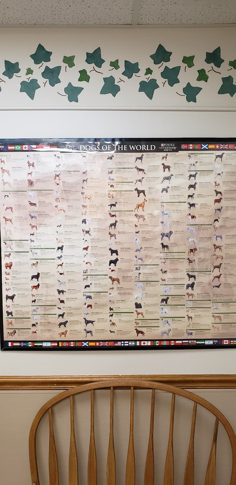 Douds Veterinary Hospital photo 2