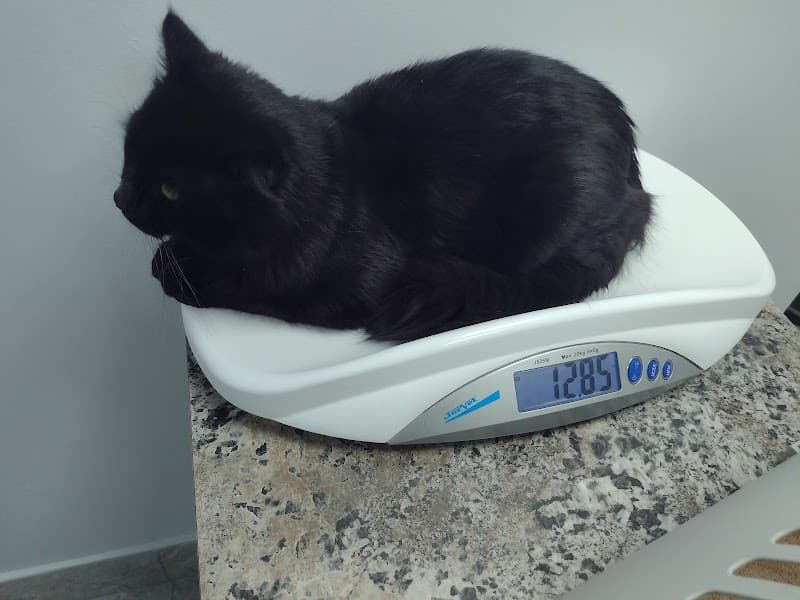 Pet Care Clinic photo 3
