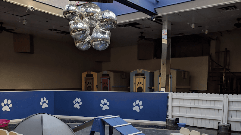 K9 Cleveland