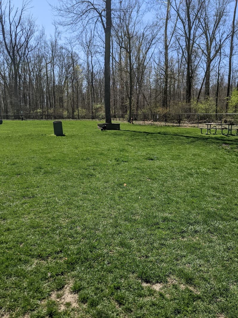 Four Paws Dog Park photo 2