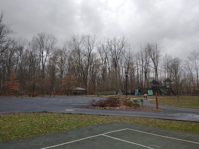 Four Paws Dog Park photo 3
