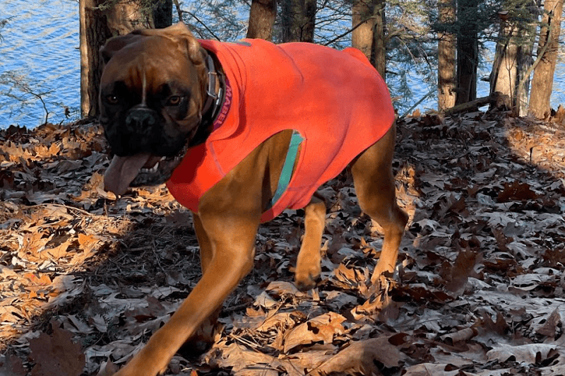 Tails N’ Trails Pets photo 2