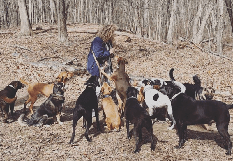 Tails N’ Trails Pets photo 3