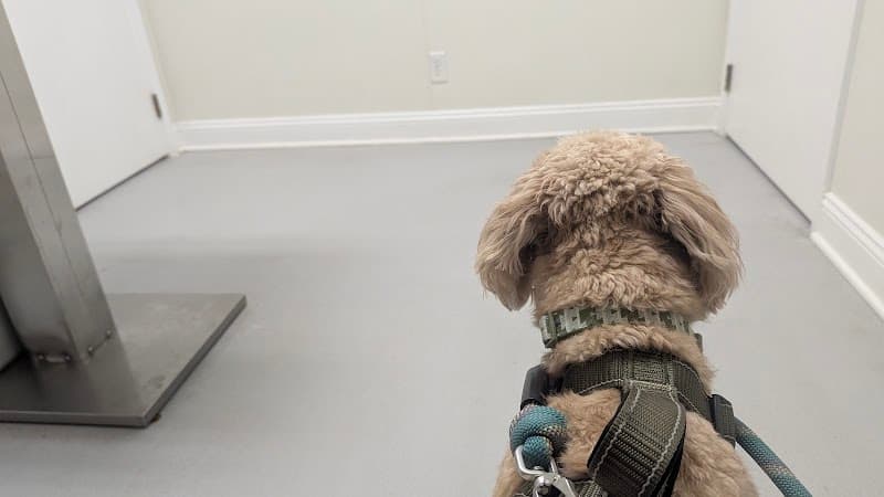 Chesterfield Animal Hospital photo 2