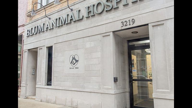 VCA Blum Animal Hospital