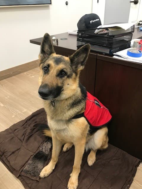 Controlled K9