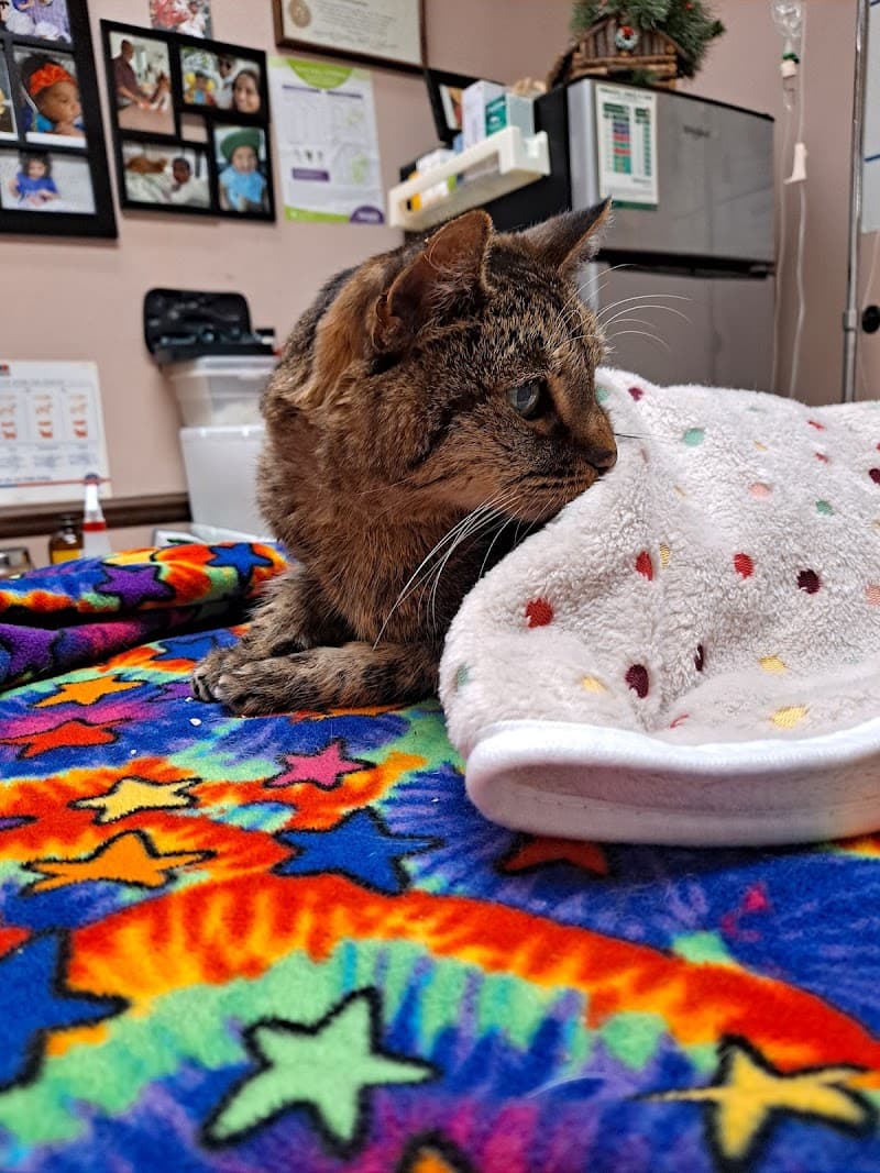 Pet Doctor photo 3