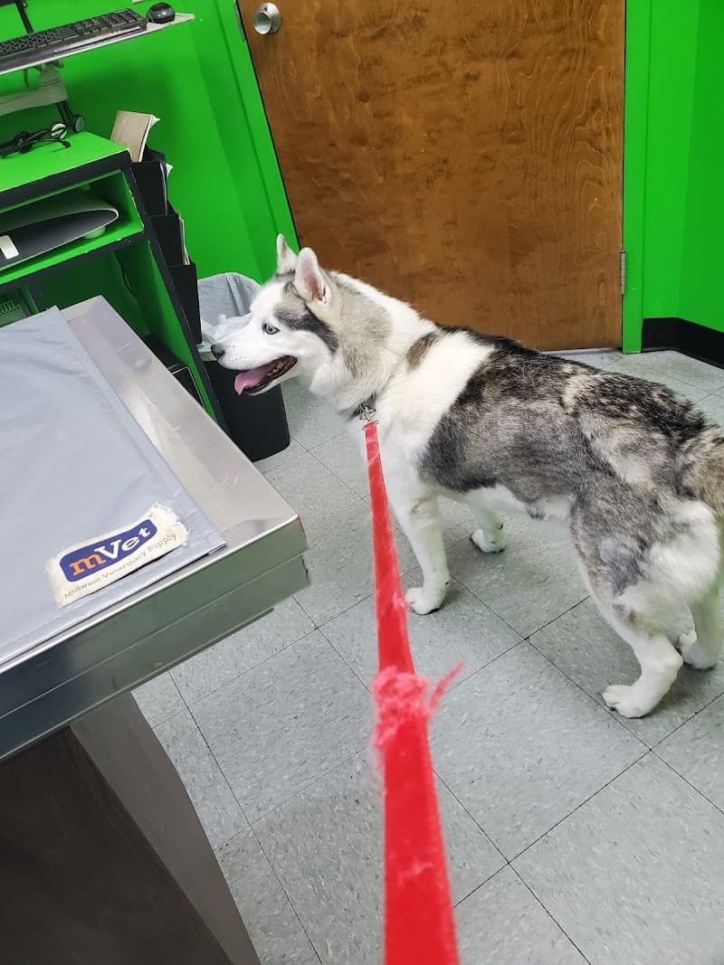 Columbia Animal Clinic photo 2