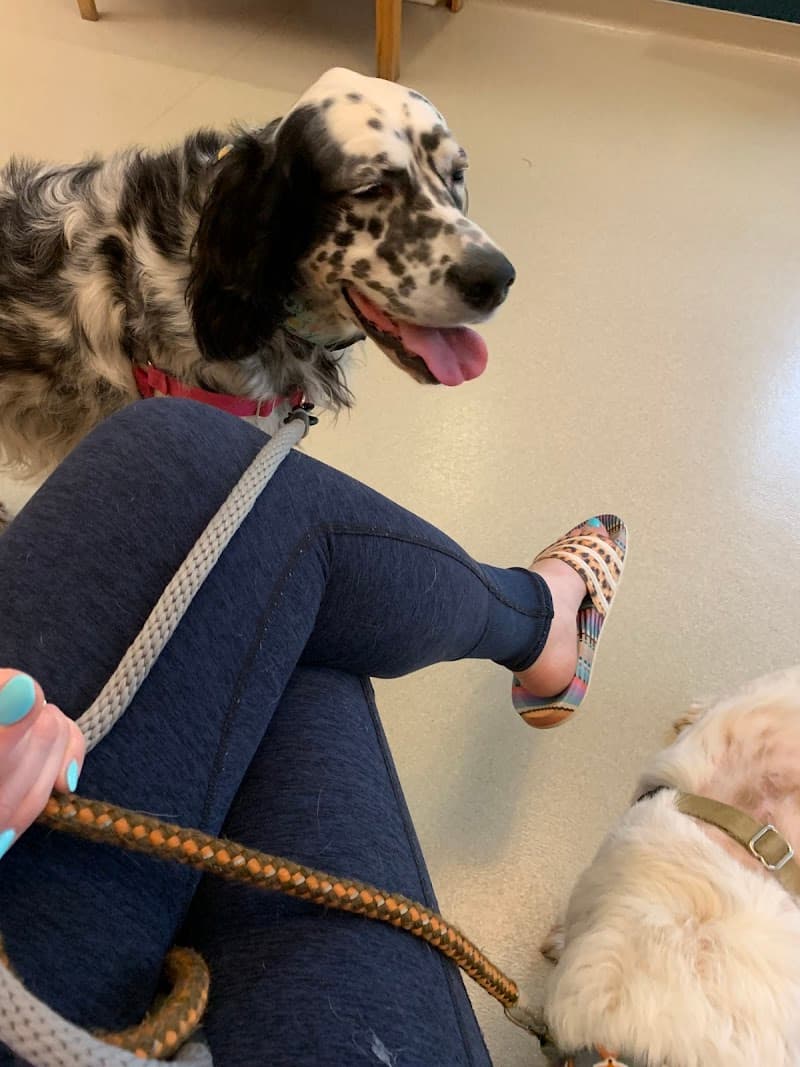 Shorewood Animal Hospital
