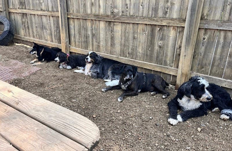The Yuppie Puppie Grooming Salon