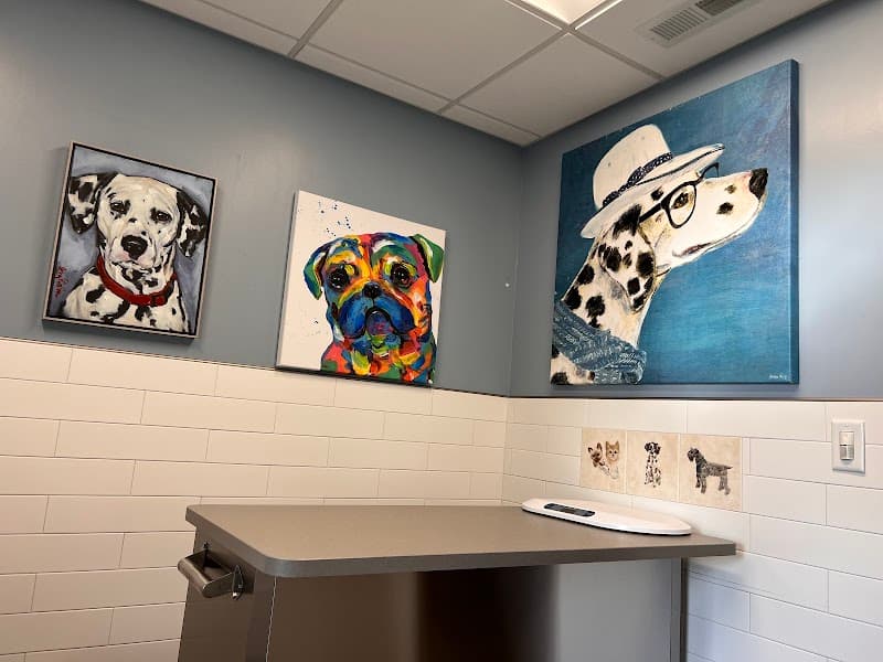 Skadron Animal Hospital photo 3