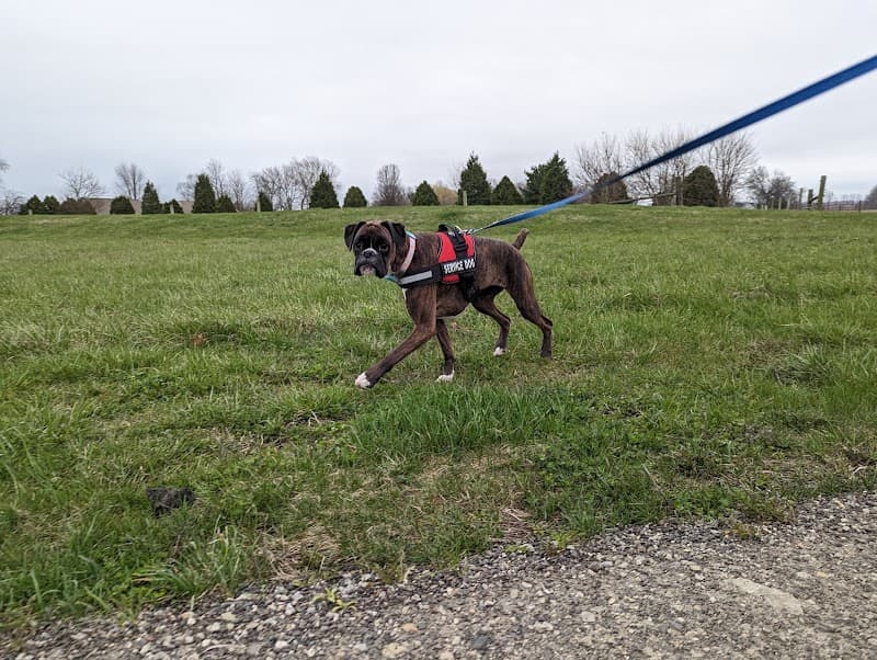 Heavenly Care Kennels photo 3
