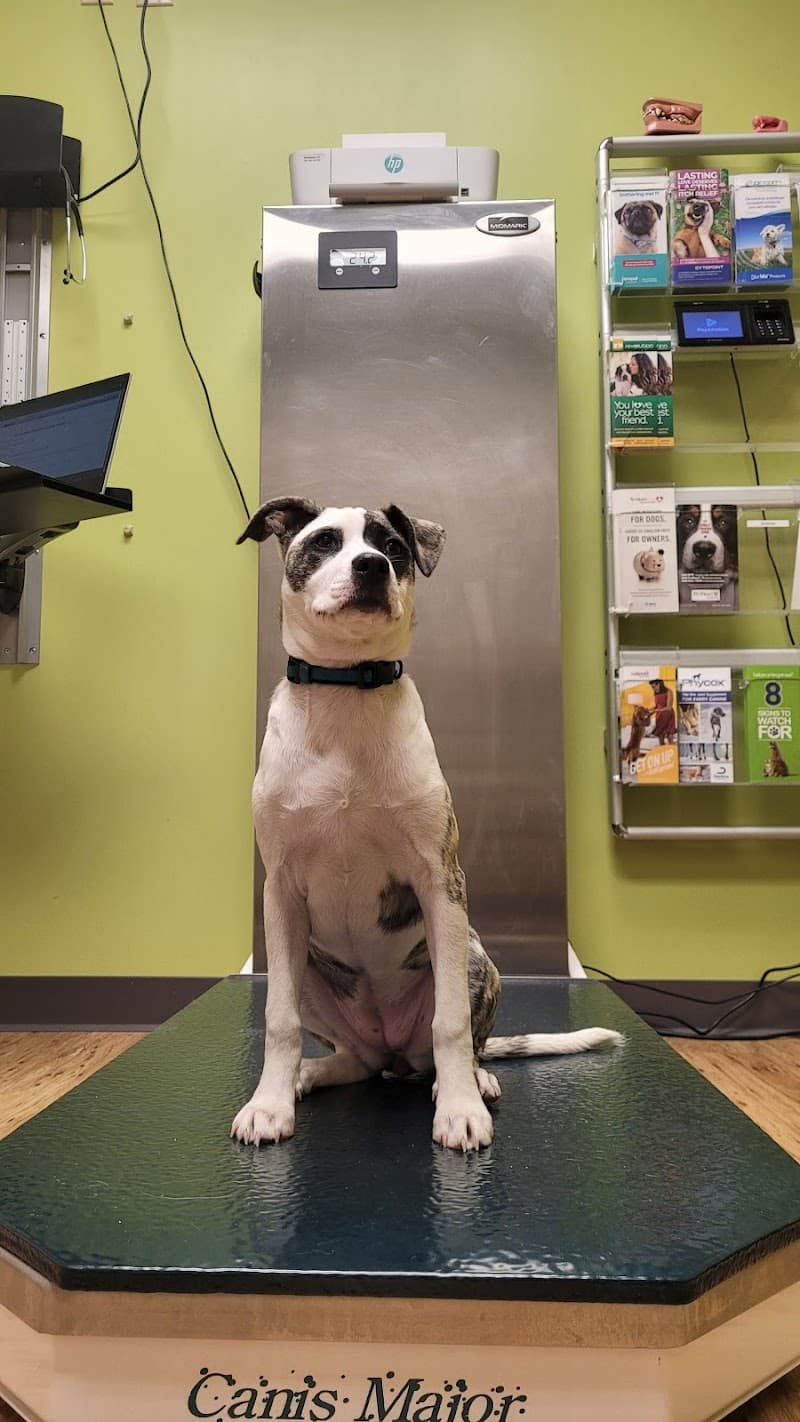 Daisy Lane Veterinary Clinic photo 3
