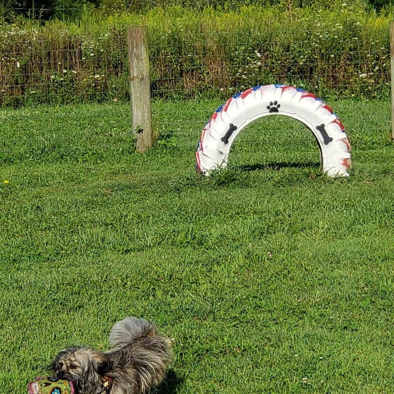 Brimfield Memorial Dog Park photo 2