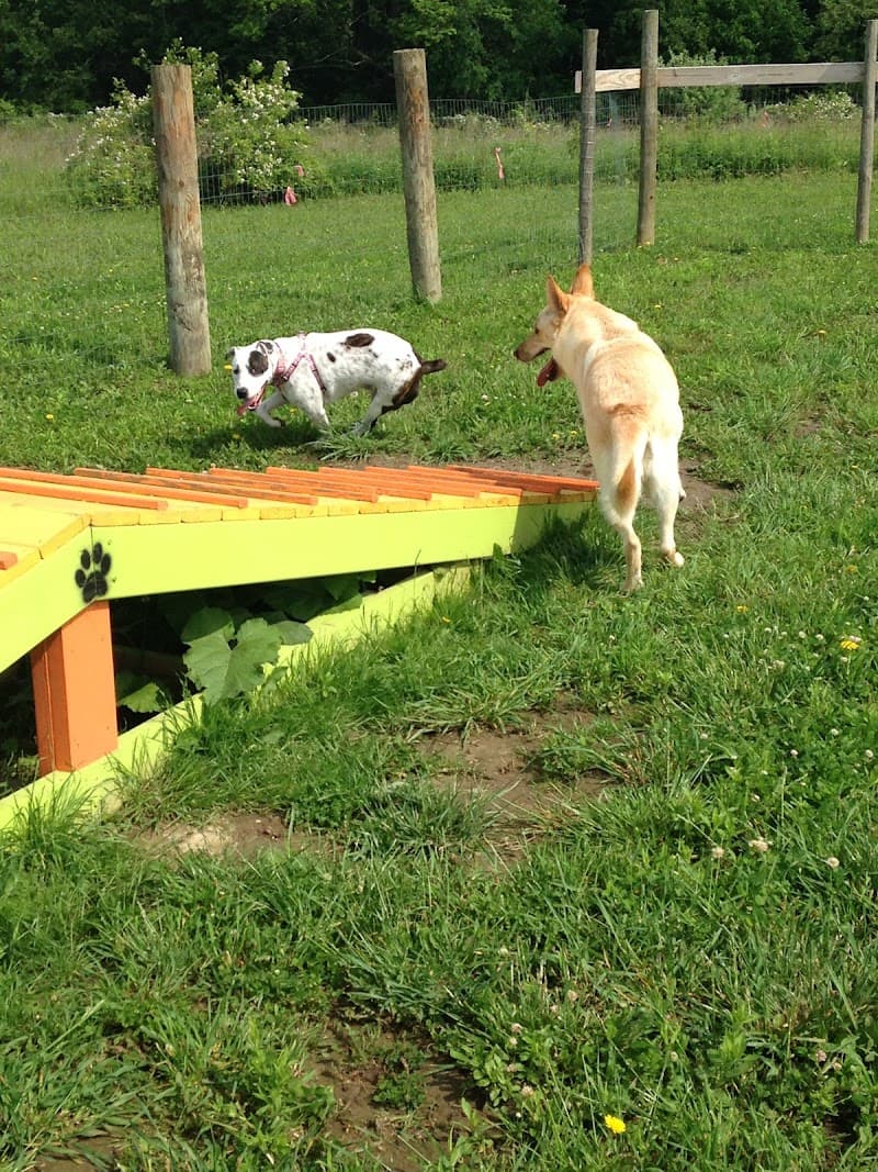 Brimfield Memorial Dog Park photo 3