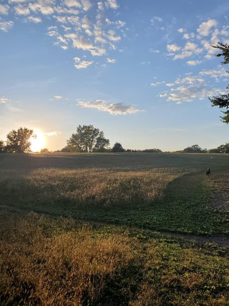 Bloomington Dog Park photo 2