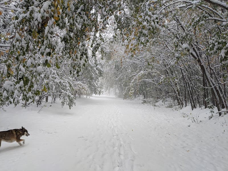 Bloomington Dog Park photo 3