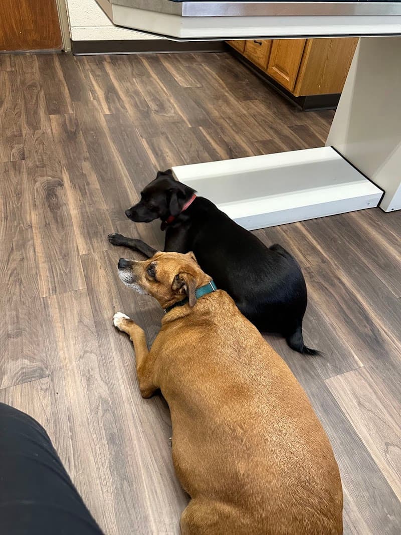 VCA Lakewood Animal Hospital