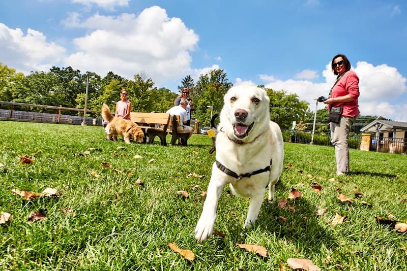 Central Park Dog Park