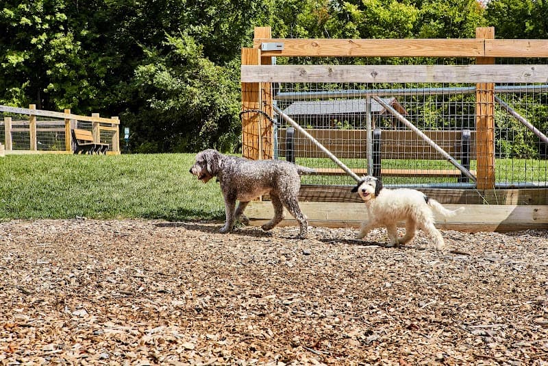 Central Park Dog Park photo 2