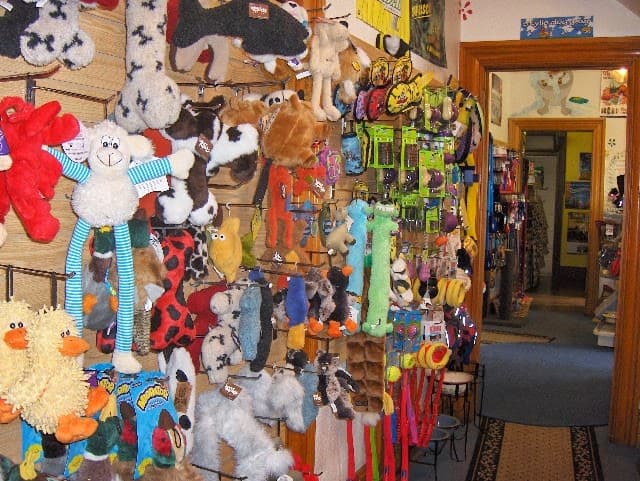 A Pet's Paradise photo 6