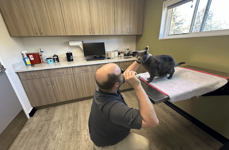 Burleigh Road Animal Hospital