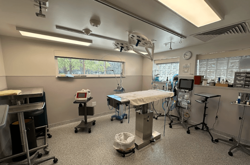 Burleigh Road Animal Hospital photo 3