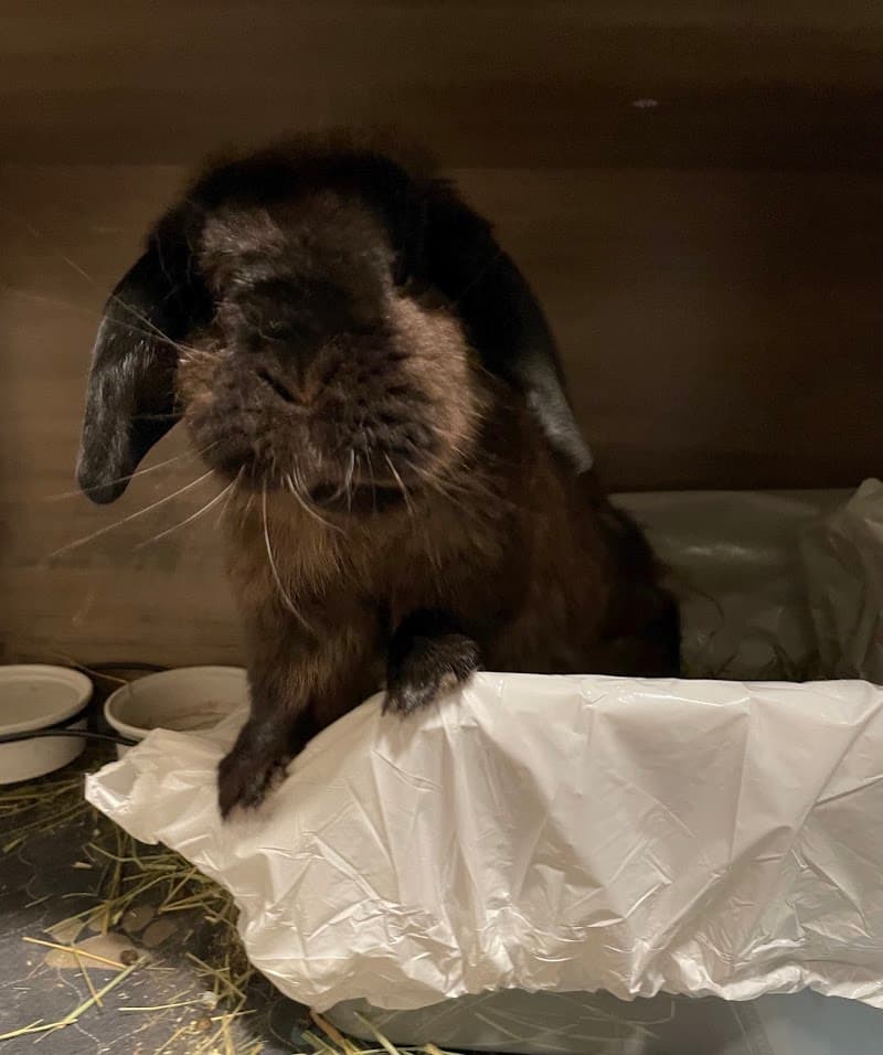 Danada Veterinary Hospital photo 2
