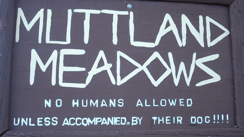 Muttland Meadows