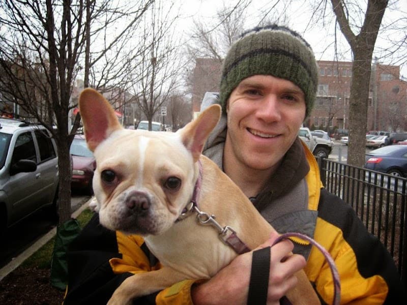 Super Dog Walking