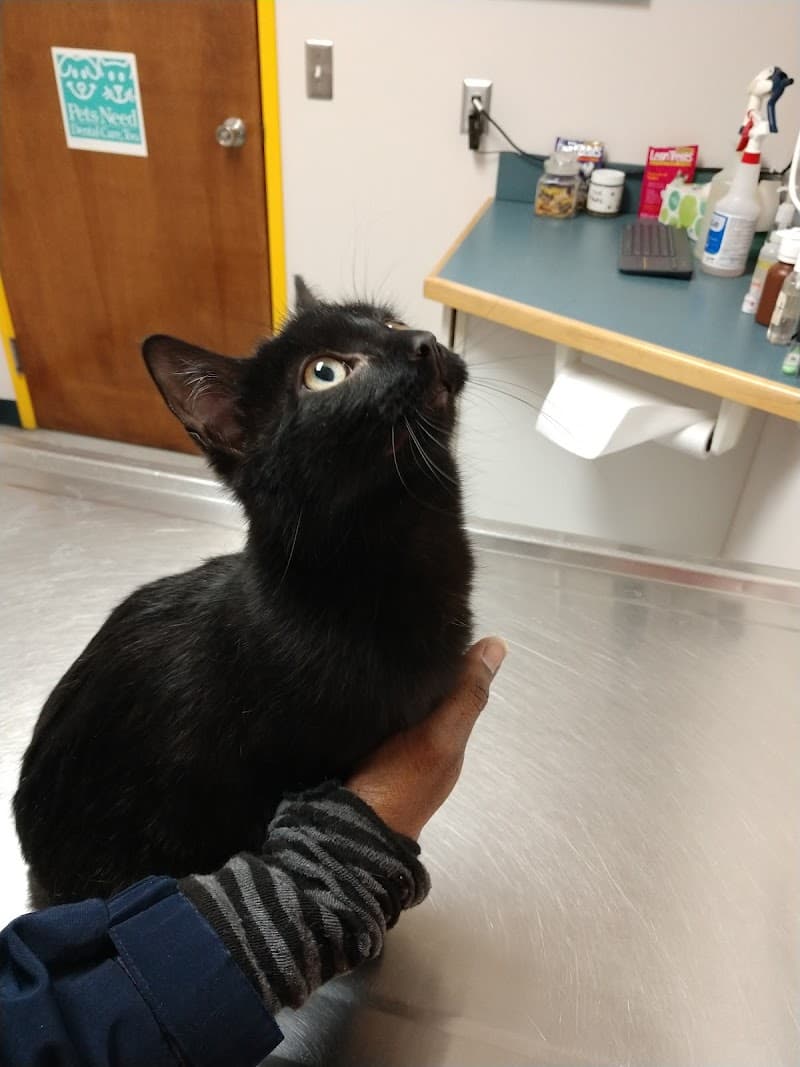 Jefferson Veterinary Center photo 2
