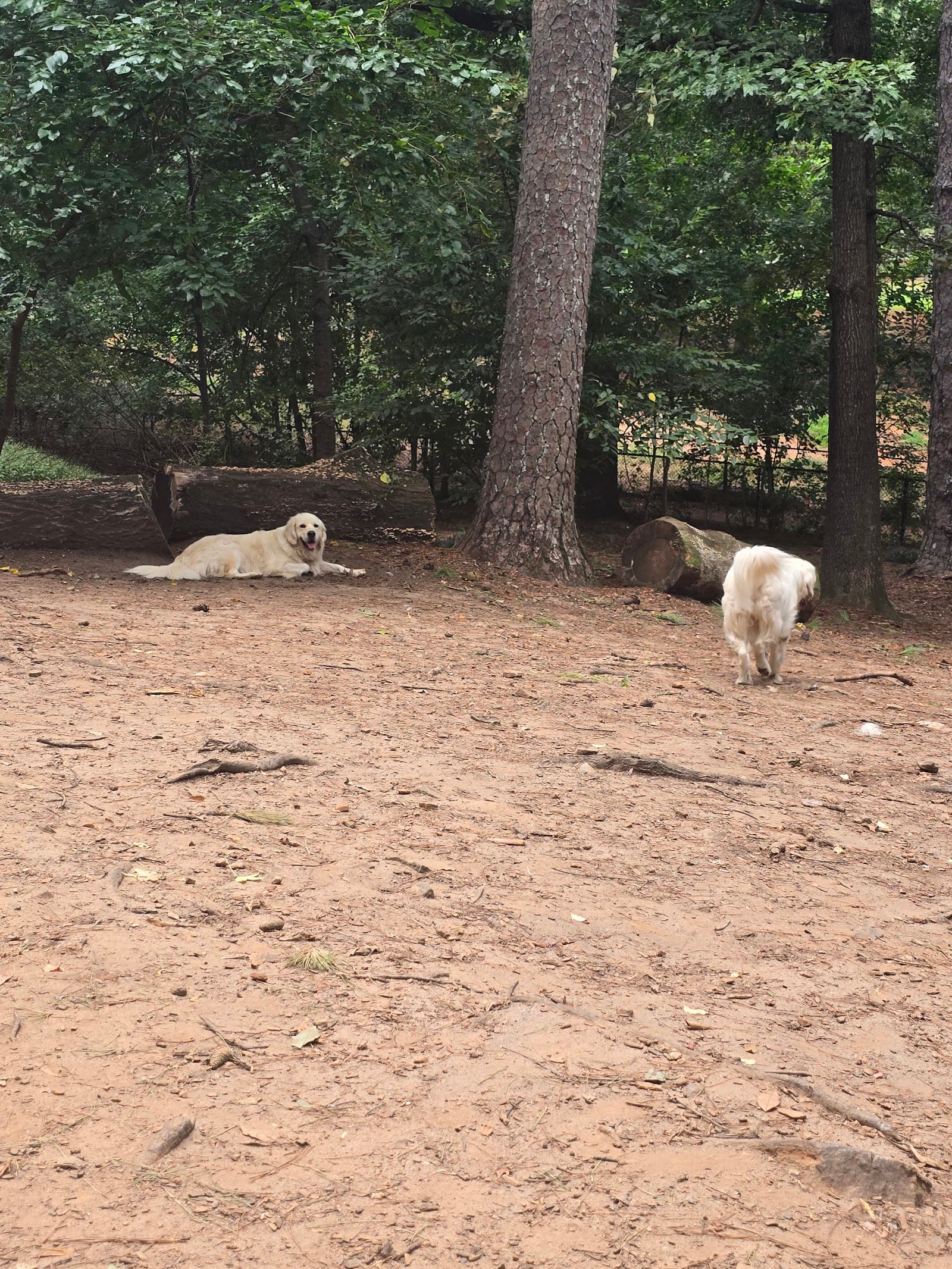 Adair Dog Park