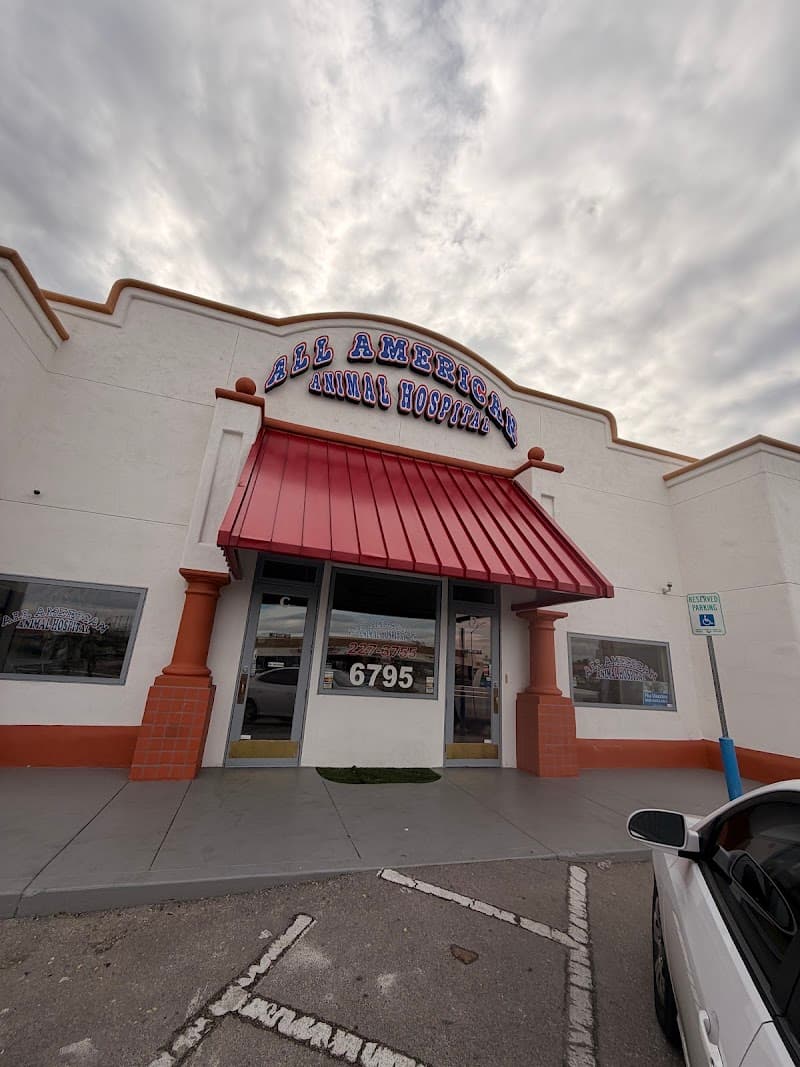 All American Animal Hospital