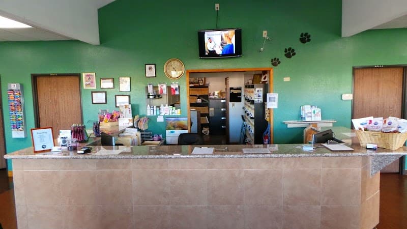 All American Animal Hospital photo 2
