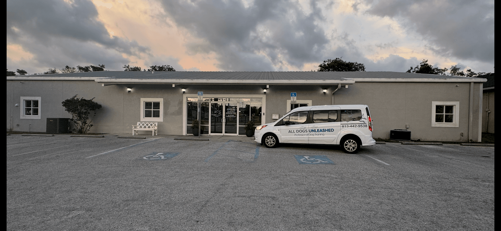 All Dogs Unleashed Dog Training Tampa