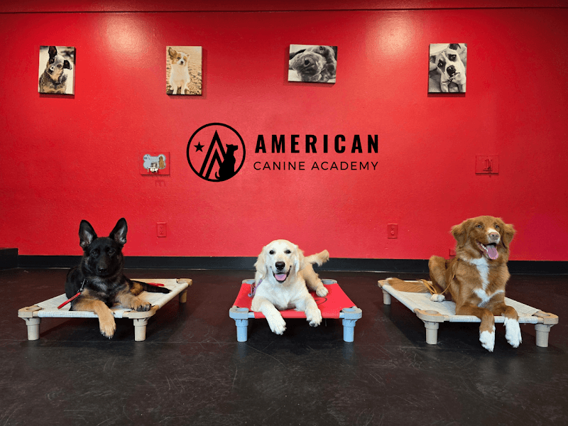 American Canine Academy Dog Training photo 4
